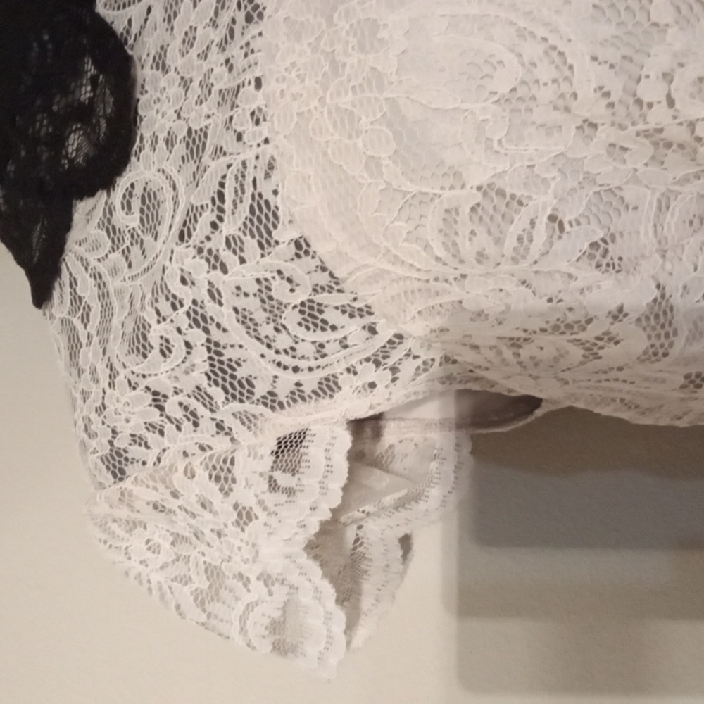 Betsy Johnson Ivory and Black Lace Dress with Collar Size 14 - Picture 4 of 12